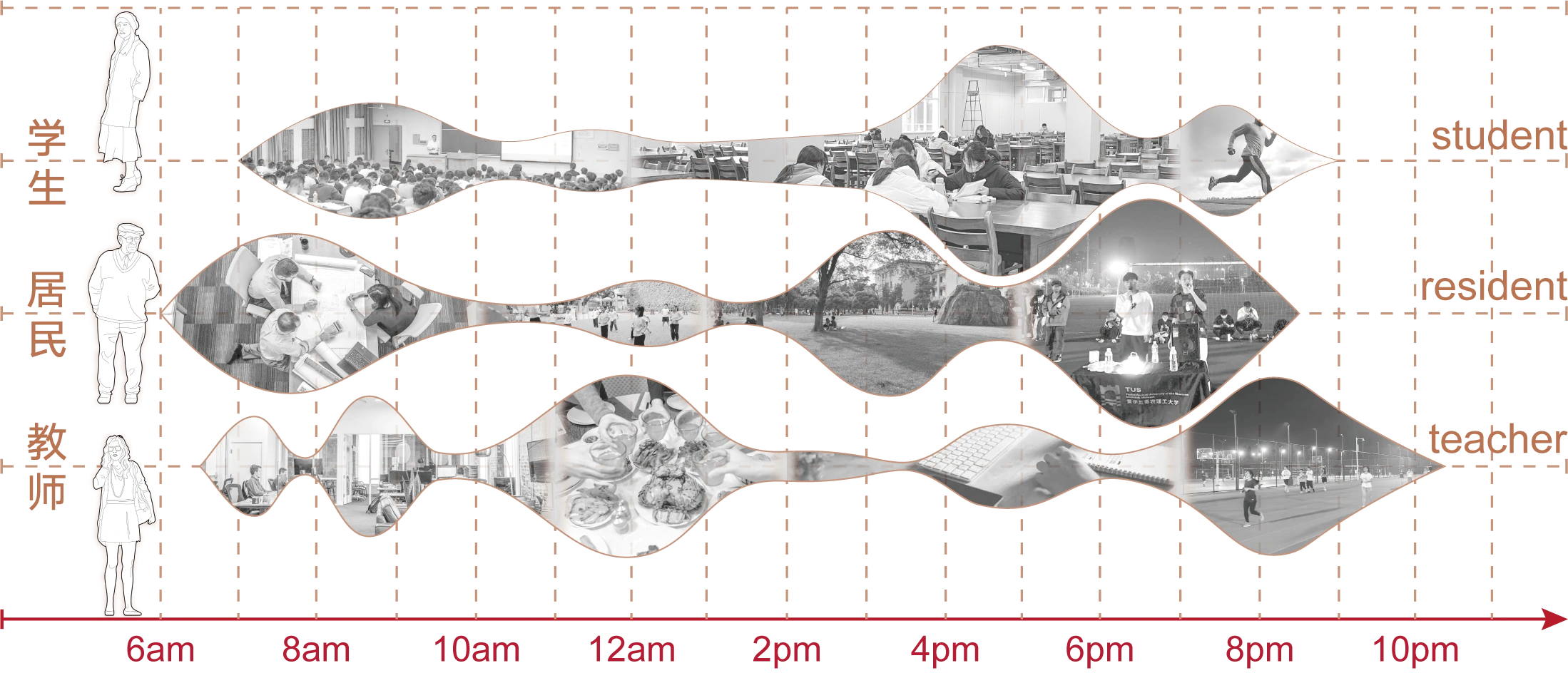 Daily activity curves for students, staff, and residents