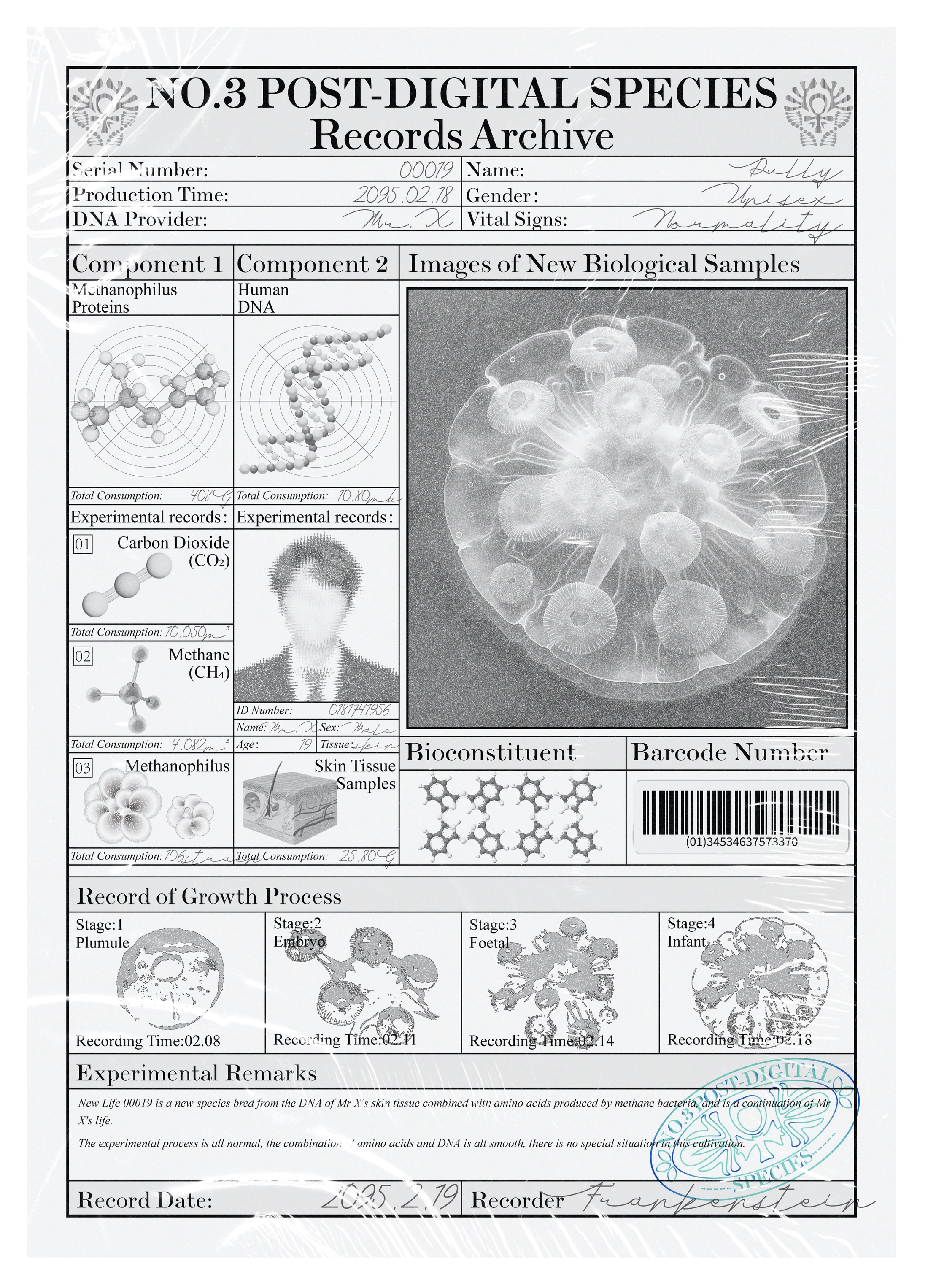 NO.3 新物种独立档案 3