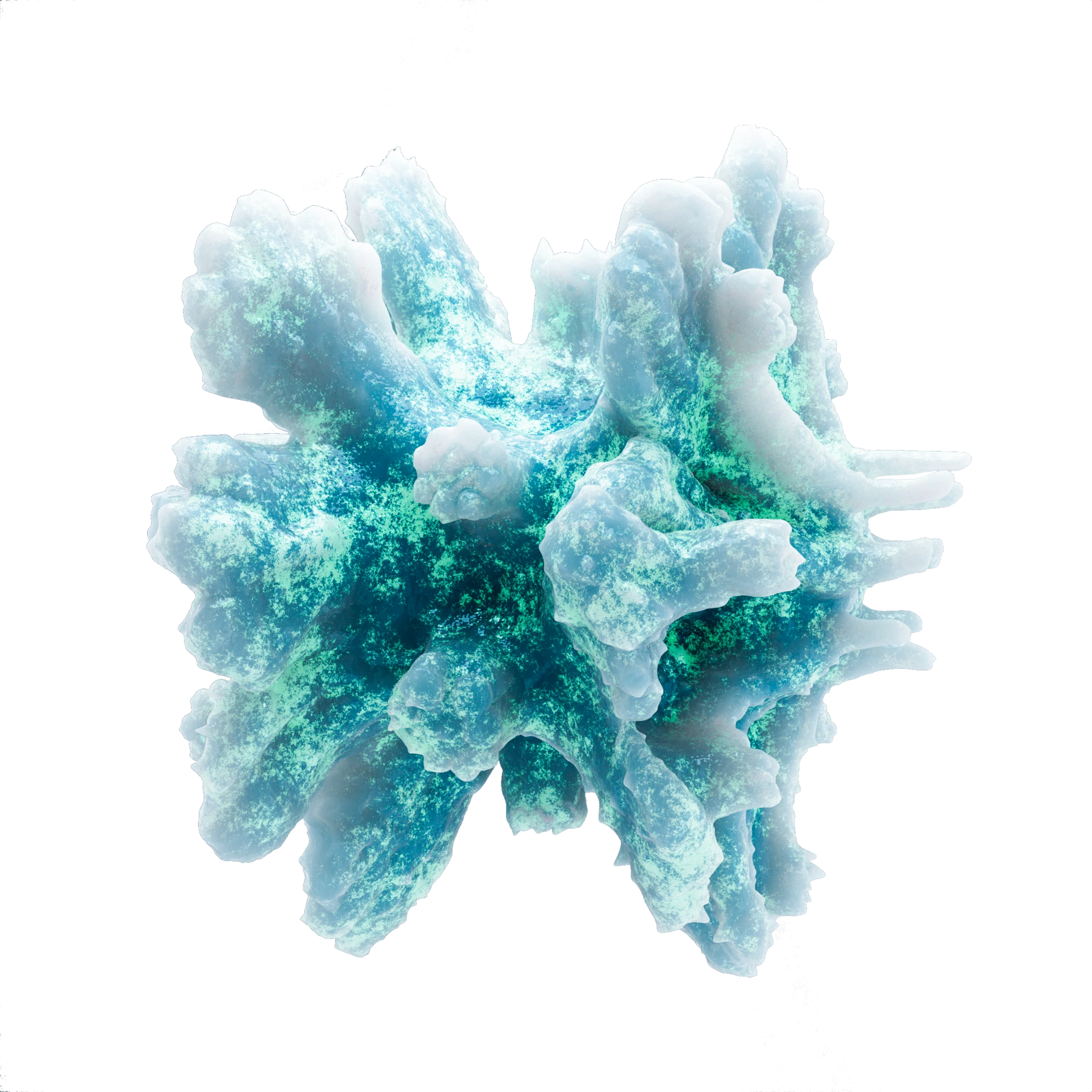 NO.3 生物培育样本 2