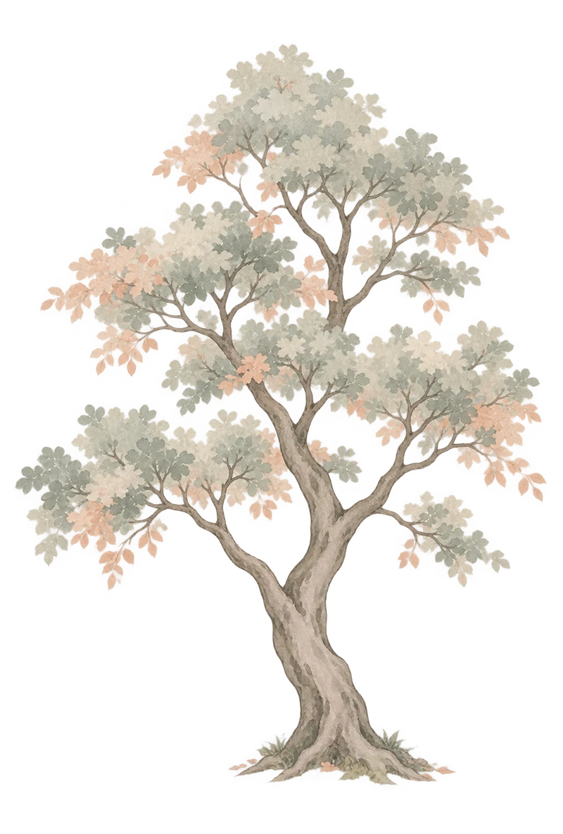 淡彩杂树