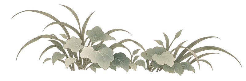 临水草叶