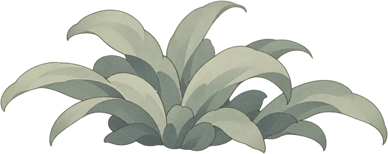柔叶草丛