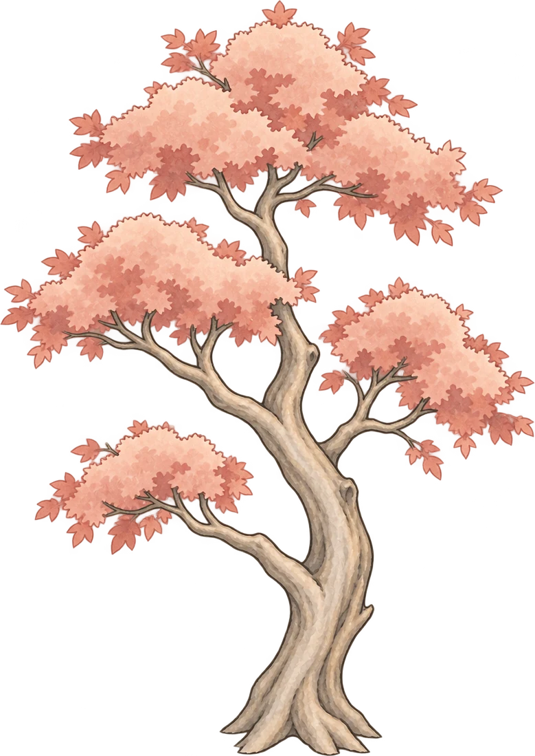 淡红树